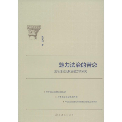 正版新书]魅力法治的苦恋:法治理论及其思维方式研究陈金钊9787