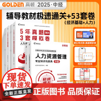 备考2025中级经济师辅导教材+5年真题3套模拟必刷卷[经济基础+人力]2科套装 中级经济师真题卷辅导资料 预计发货08