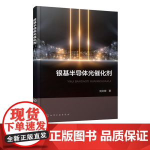 银基半导体光催化剂 导体光催化技术基础 银掺杂法银基半导体光催化剂制备 表征及其光催化性能研究 银基半导体光催化领域参考
