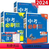 中考必刷题[全套9本] 初中通用 [正版]2024中考九年级上册下册语文数学英语物理化学生物地理政治历史全国人教版初三中
