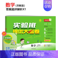[苏教版]数学 六年级下 [正版]2023旧版实验班提优大考卷一二三四五六年级上下册语数英全套人教版苏教版北师大同步练习