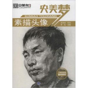 正版新书]素描头像罗皓9787562488385