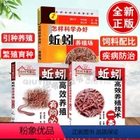 [正版]养蚯蚓书3册地龙蚯蚓养殖技术书籍高产一本通有问答养殖场泡沫箱土壤床饲料加工家庭人工繁殖产卵苗视频网盒牛粪堆肥木