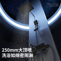 箭牌卫浴(ARROW)卫浴花洒 增压淋浴套装挂墙式不锈钢可旋转升降 精铜主体花洒头 多功能黑色花洒AE3449MB-P1