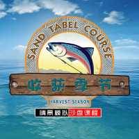 DIY收获季节 内训沙盘具 竞争与合作 诚信与共赢 6组8组11组教具