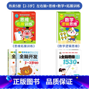 ★热卖5册[2-3岁]左右脑+思维+数学+拓展训练 [正版]儿童左右脑开发训练全脑益智逻辑思维书连线迷宫数学游戏书2-3