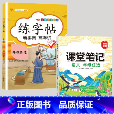 练字帖+语文课堂笔记 六年级下 [正版]六年级下册字帖练字同步人教版语文练字帖小学生6年级拼音笔画笔顺偏旁部首临摹钢笔田