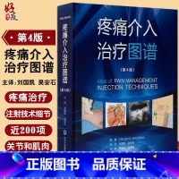 [正版]疼痛介入治疗图谱 第4版 刘国凯 吴安石 主译 疼痛学书籍 疼痛治疗注射技术临床操作 超声引导术 北京大学医学
