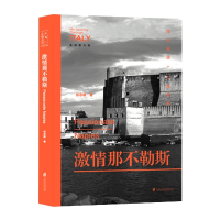 音像激情那不勒斯张志雄