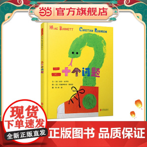二十个问题