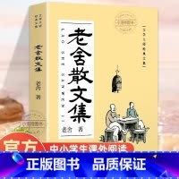 老舍散文集 [正版] 老舍经典散文全集 插图版济南的冬天济南的秋天热爱新北京散文大明湖之春现当代文学经典老舍书无删减文学