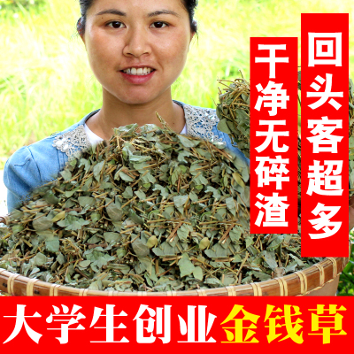广西新鲜大叶金钱草干石肾广金钱排泡水石茶500g化
