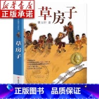 曹文轩纯美小说系列 草房子 [正版]草房子四年级下册 曹文轩原著完整版 江苏少年儿童出版社 小学生课外阅读书籍 草房子适