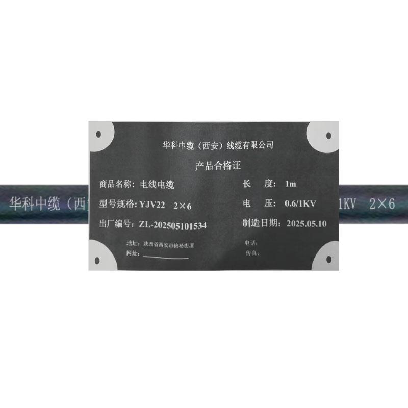 华科中缆 电线电缆 YJV22-0.6/1KV-2*6 米