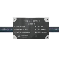 华科中缆 电线电缆 YJV22-0.6/1KV-2*6 米