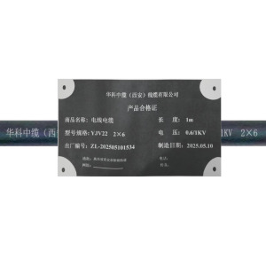 华科中缆 电线电缆 YJV22-0.6/1KV-2*6 米