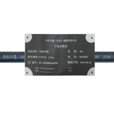 华科中缆 电线电缆 YJV22-0.6/1KV-2*6 米