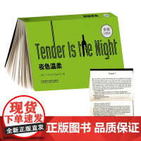 夜色温柔(步客口袋书英文小说)