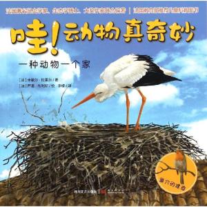 正版新书]哇!动物真奇妙?一种动物一个家/动物真奇妙(法)米歇尔