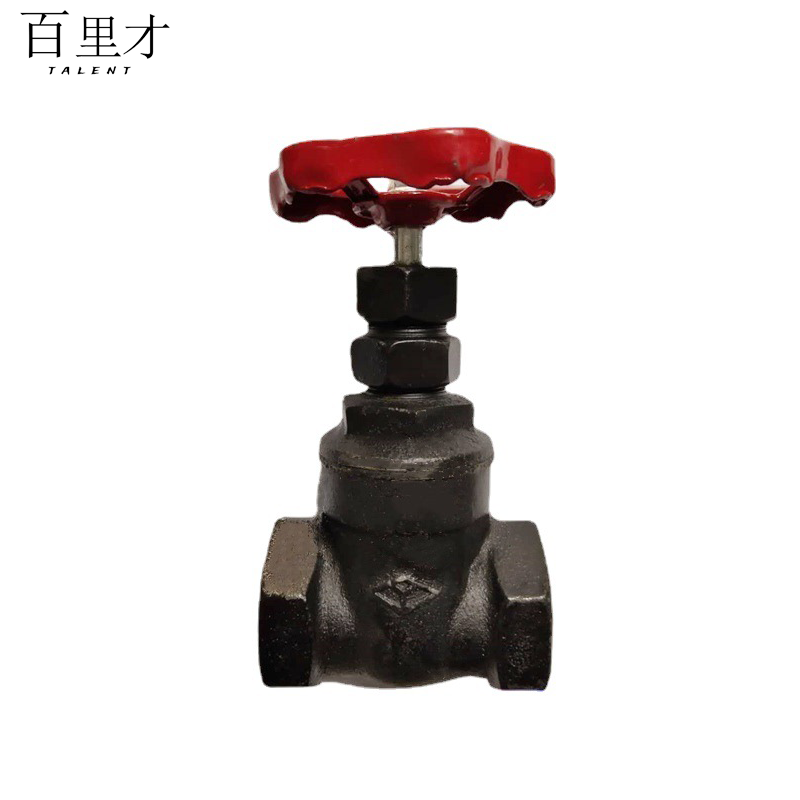 百里才 铸铁闸阀DN20个