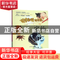 正版 浪漫彩铅随意绘:宠物 七彩绘工作室著 辽宁美术出版社 97875