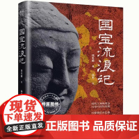 正版]国宝流浪记 流失国宝的故事 中国国宝文物科普书籍 国宝档案国家宝藏如果国宝会说话藏在国宝背后的故事中国历史书籍
