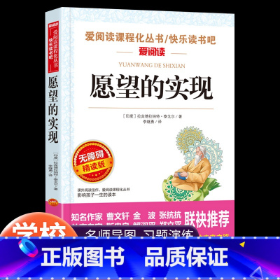 愿望的视线 [正版]愿望的实现 二年级下册课外书 爱阅读课程化丛书 小学生二三四五年级课外阅读书籍书目 快乐读书吧二年级