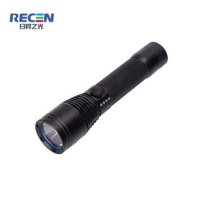 RECEN 强光巡检手电筒 RSC8012 个