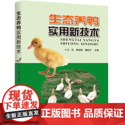 生态养鸭实用新技术