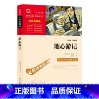 地心游记 [正版]地心游记(中小学生课外阅读指导丛书) 无障碍阅读 彩插励志版 110000多名读者热评!