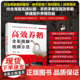 【新华】高效养鹅全彩图解+视频示范 正版书籍 店 化学工业出版学