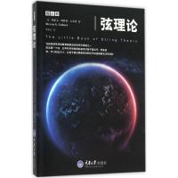 正版新书]弦理论(美)斯蒂文·斯科特·古布泽(Steven S.Gubser) 著