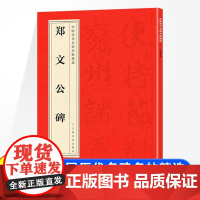 中国历代名碑名帖精选 郑文公碑 北魏郑道昭楷书毛笔字帖书法临摹练习古帖拓本书籍楷书毛笔书法字帖 中国历代名碑名帖精选书籍