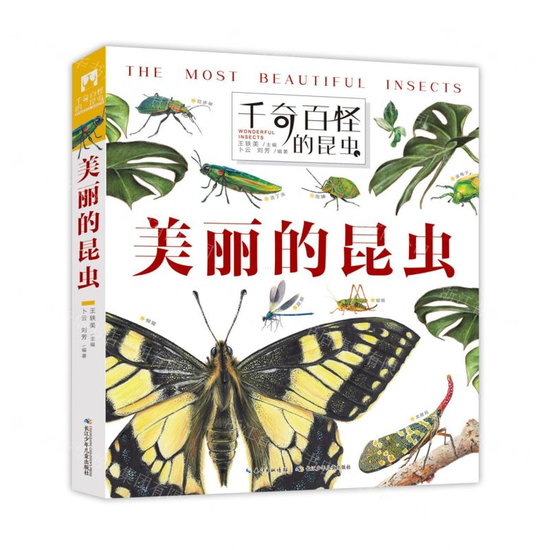 [N]美丽的昆虫(精)/千奇百怪的昆虫-9787556099160