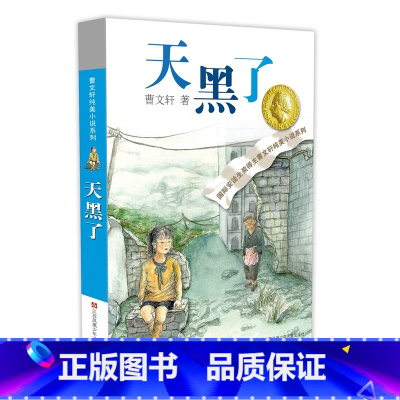 天黑了 [正版]曹文轩纯美小说系列全套10册精选礼盒装作品集青铜葵花草房子小学生课外阅读书籍儿童文学获奖四五六年级必读经