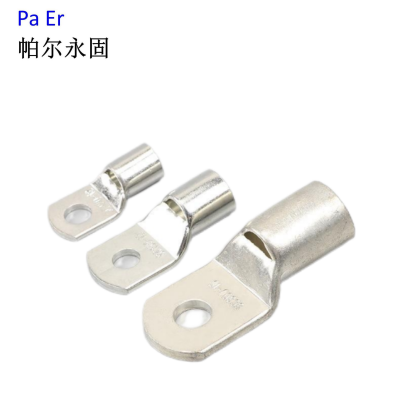 帕尔永固 镀锌铜线鼻子16m㎡ 个