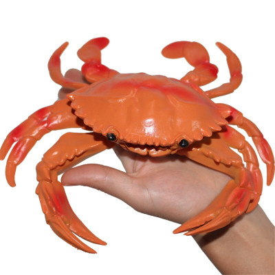 仿真海洋生物动物世界模型玩具鱿鱼章鱼八爪鱼乌贼模型男女孩大螃蟹