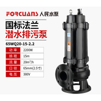 人民 铸铁排污泵 65WQ(D)20-15-2.2