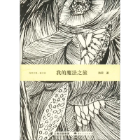 音像我的魔法之旅 散文卷海男