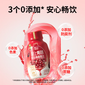 轻上红石榴桑葚汁245ml*10瓶