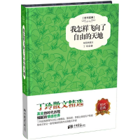 音像我怎样飞向了自由的天地丁玲 著