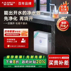史密斯佳尼特[龙腾上新]加热净水器厨下家用净水机3.4升/分钟多档控温0陈水CDR1800F[FA1升级款]