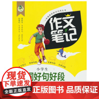 小学生好词好句好段精批精评-作文笔记周汉琴小学教辅长江少年儿童出版社(原湖北少儿)正版