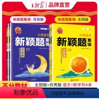 备战小升初[太阳+月亮版]语文数学4本套装 小学通用 [正版]新颖题集锦太阳版知识大盘点语文数学四五六年级主题情境学习学