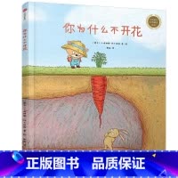 你为什么不开花 [正版] 你为什么不开花精装 童书世界精选绘本 精装硬壳 3-4-5-6周岁幼儿园宝宝早教启蒙绘本图画故