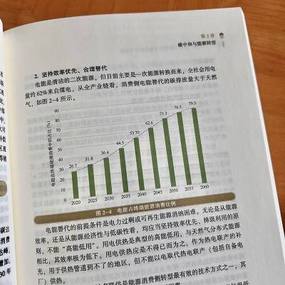 “双碳”目标下新型电力系统技术与实践