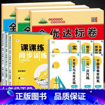 [七下数学专项+全优试卷+课课练]搭配.全12册 七年级下 [正版]七年级下册试卷全套 初一数学必刷题专项训练人教版