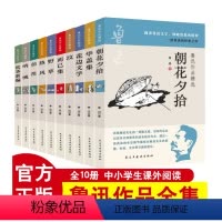 鲁迅作品精选 [正版]鲁迅全集原著全套10册六年级七年级必读的课外书阅读书籍朝花夕拾呐喊彷徨狂人日记故乡野草孔乙己小说经