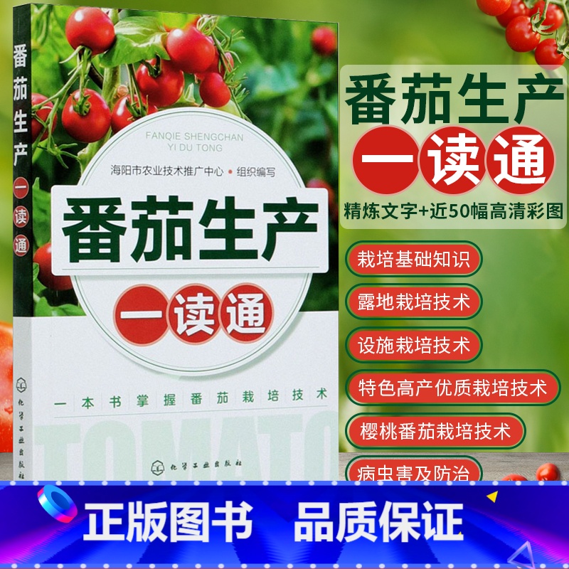 [正版]番茄生产一读通 西红柿优质栽培技术 番茄露地栽培番茄高效种植管理 番茄病虫害防治技术 专业菜农植保人员蔬菜企业