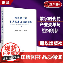 2024正版新书 数字时代的产业变革与组织创新总结中国产业创新发展规律解读中国经济增长密码洞见数字时代新华出版社9787
